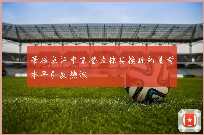 蒂格点评申京潜力称其接近约基奇水平引发热议