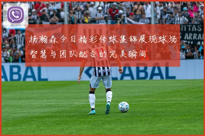 杨瀚森今日精彩传球集锦展现球场智慧与团队配合的完美瞬间