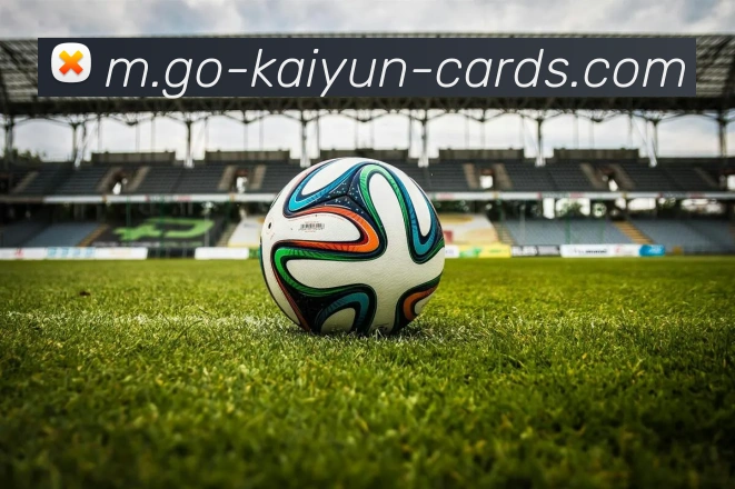 App Interface Preview